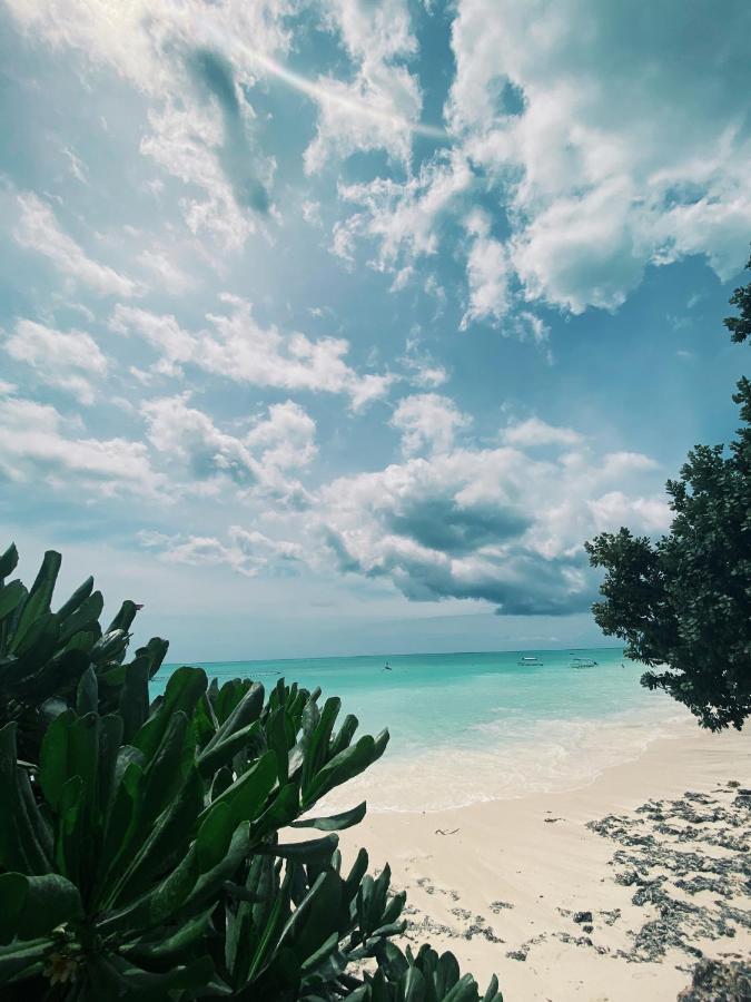 Crystal Beach Nungwi Dış mekan fotoğraf